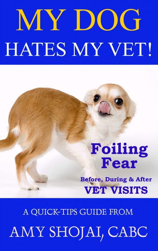 My Dog Hates My Vet! Foiling Fear Before, During & After Vet Visits