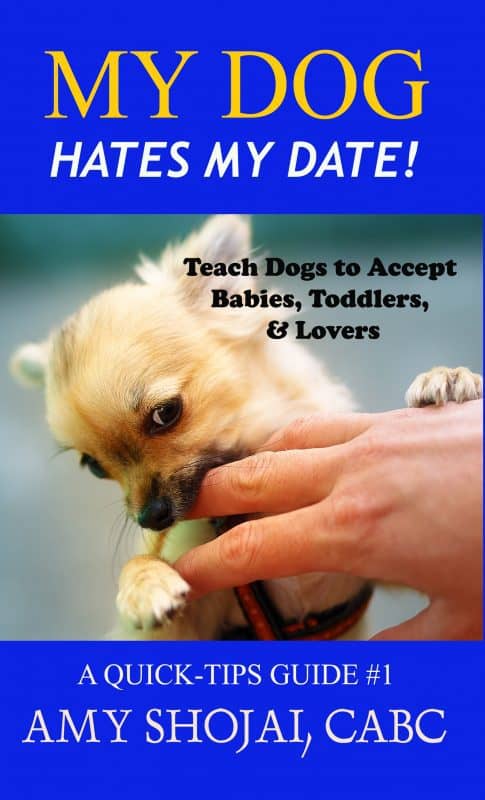 My Dog Hates My Date! Teach Dogs to Accept Babies, Toddlers & Lovers