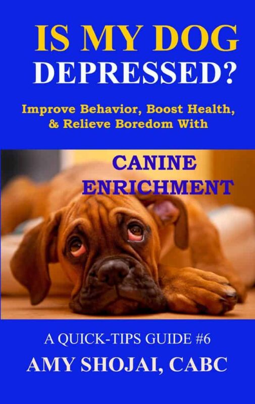 Is My Dog Depressed? Improve Behavior, Boost Health, and Relieve Boredom with Canine Enrichment